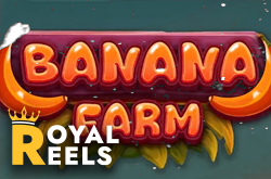 banana farm
